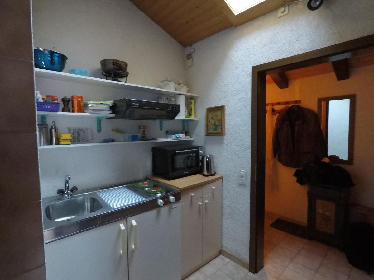 Ferienwohnung Interlaken/Wilderswil Extérieur photo